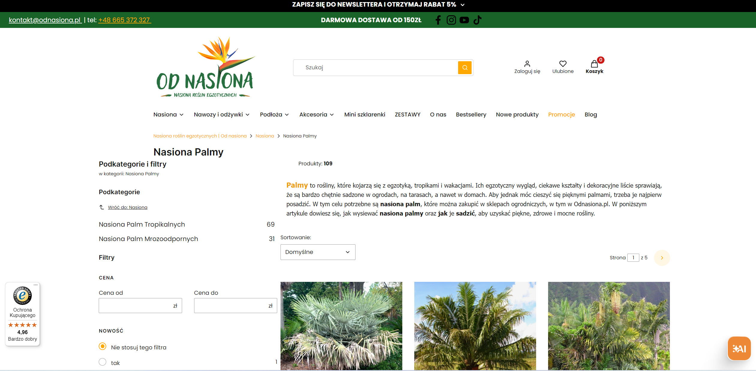 Jakie nasiona palm wybrać do uprawy w Polsce? Sprawdź gatunki odporne na nasze warunki