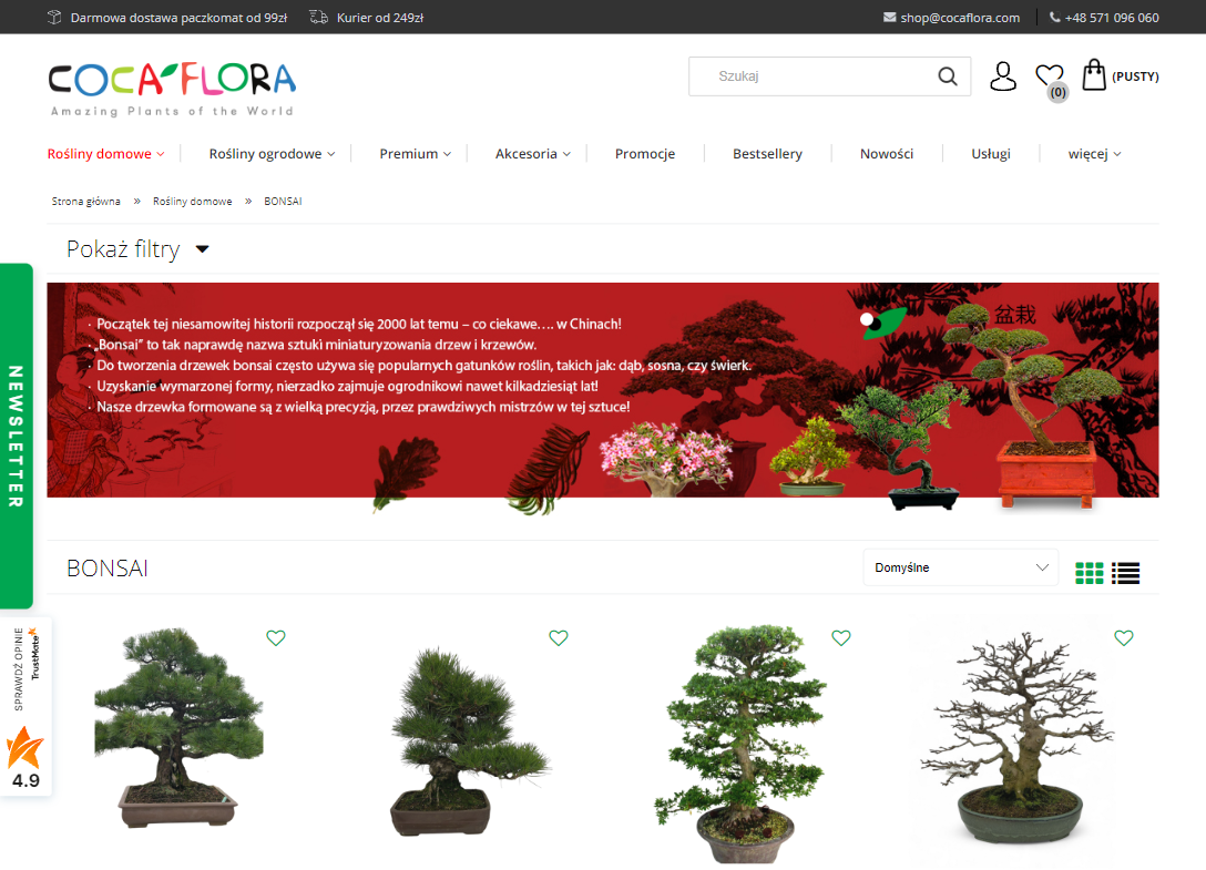 Gotowe bonsai czy samodzielne formowanie - które rozwiązanie sprawdzi się lepiej?