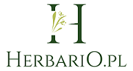 Logo Herbario Sp. z o.o.